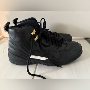 Air Jordan 12 Retro 'The Master men size 12 used